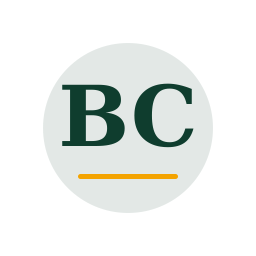 Bronze Chimney Service logo
